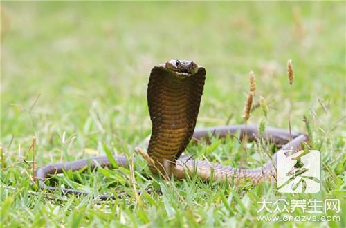 ���ߵĹ�Ч������