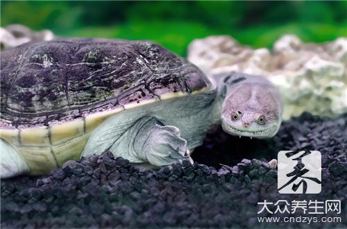 ������ʲô����