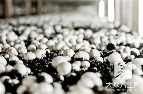 ������ô����