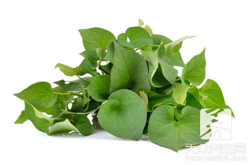 �������Ȳ�����������