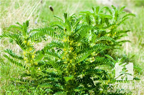 ���ε��������